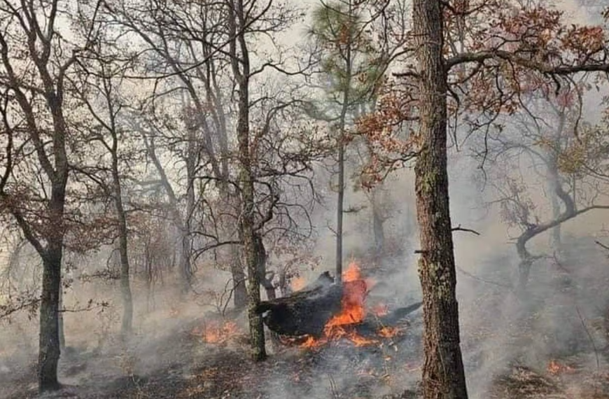 Protección Civil Sonora Espera Sofocar Incendio Forestal de Yécora en Dos Días