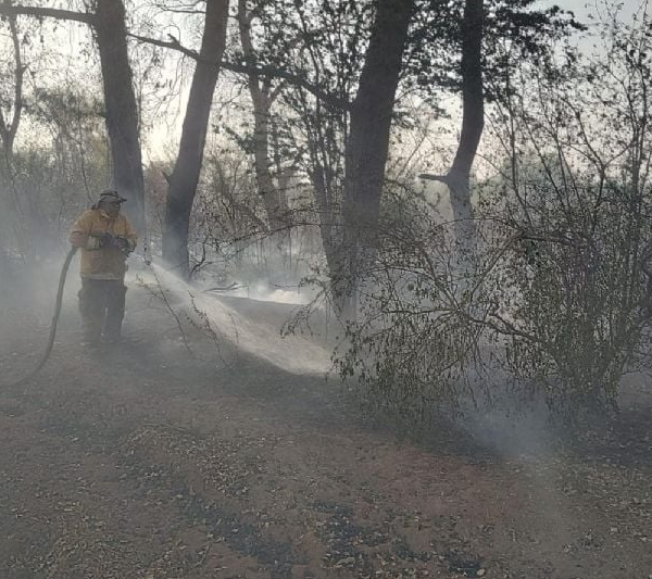 Quema Controlada se Descontrola y Devasta el Ecosistema del Río Mayo en Navojoa