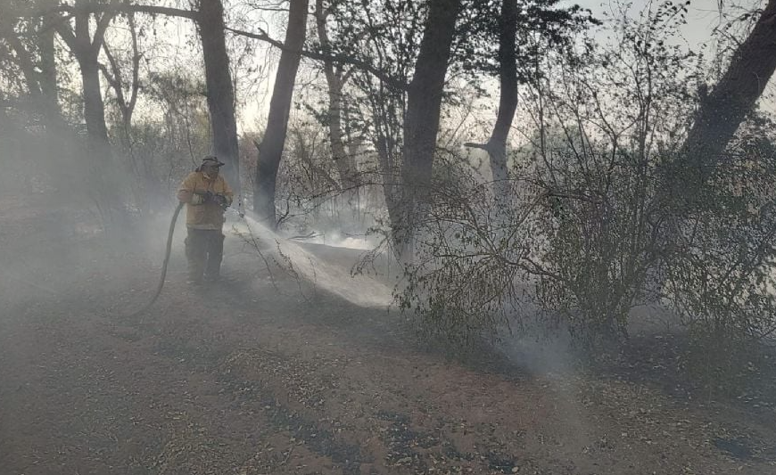 Quema Controlada se Descontrola y Devasta el Ecosistema del Río Mayo en Navojoa