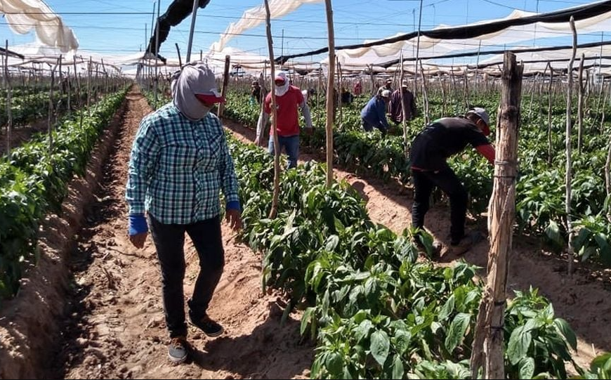 Guaymas y Empalme afectados por pésimos servicios de salud