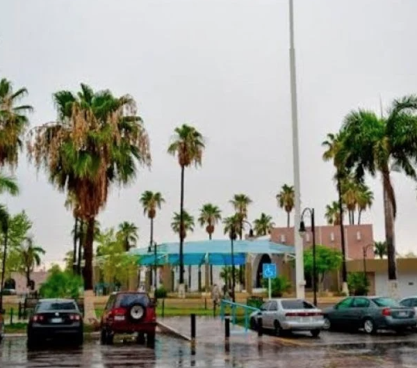 Lluvias Reducen Afectaciones por Sequía en la Región del Mayo: Un Respiro para el Sur de Sonora