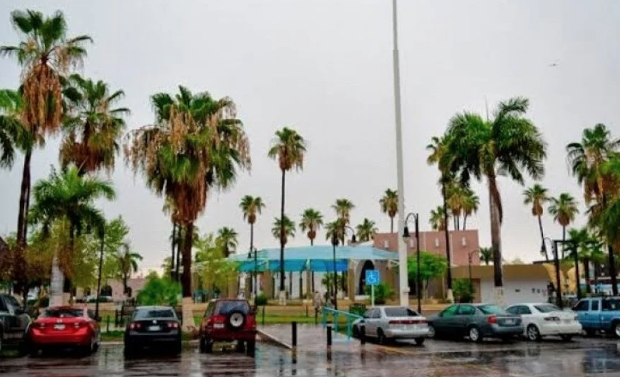 Lluvias Reducen Afectaciones por Sequía en la Región del Mayo: Un Respiro para el Sur de Sonora