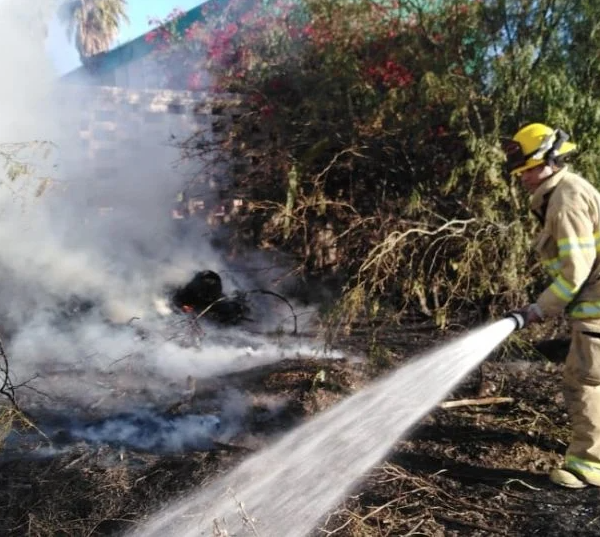 Disminuyen los Incendios Forestales en Guaymas y Empalme Durante la Temporada de Calor