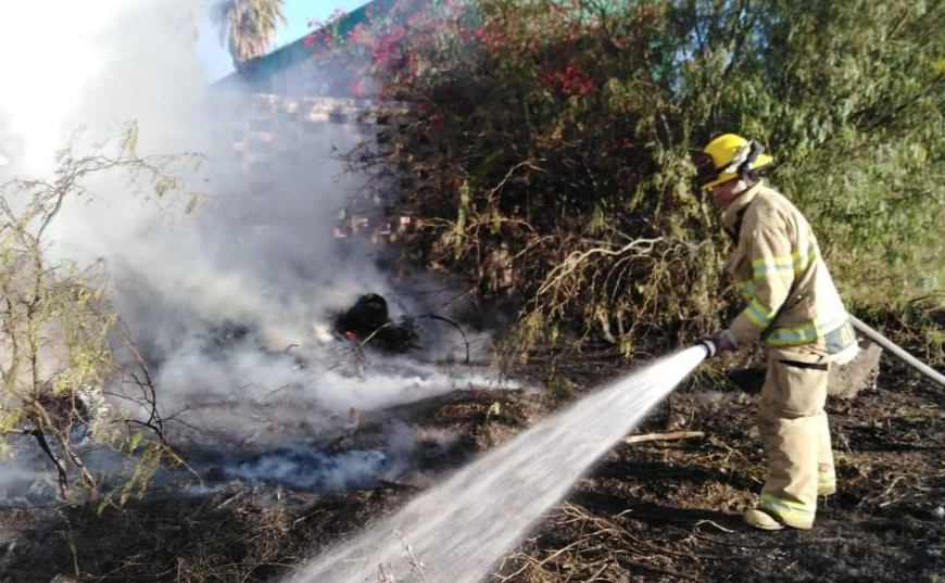 Disminuyen los Incendios Forestales en Guaymas y Empalme Durante la Temporada de Calor