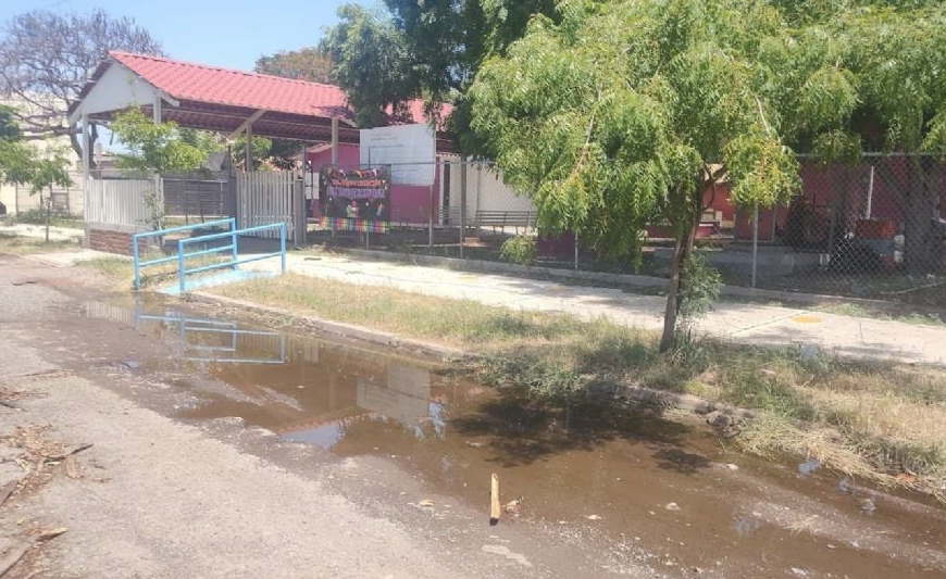 Ciudad Obregón: Padres de Familia Exigen Limpieza y Fumigaciones en Escuelas ante Regreso a Clases