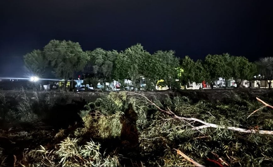 ¡Alerta en Ciudad Obregón! Fuertes Vientos Derriban Más de 10 Árboles y Dañan Postes