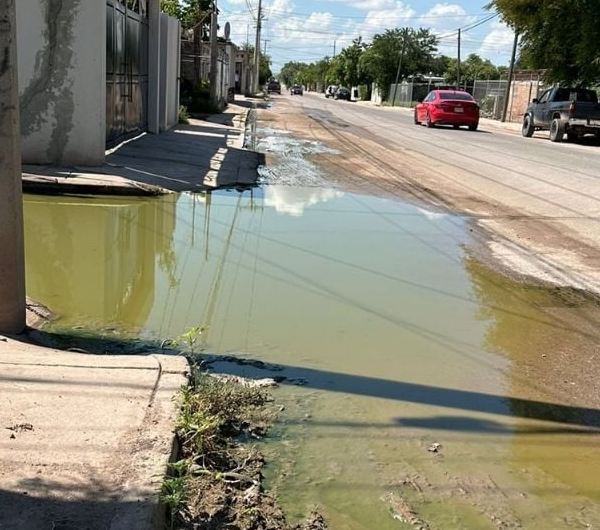 Vecinos de la colonia 16 de junio en Navojoa viven entre aguas negras