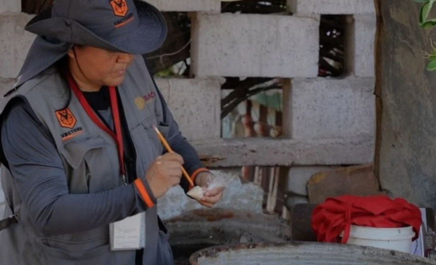 Municipios de la región del Mayo continúan libres de dengue gracias a acciones preventivas y baja en lluvias