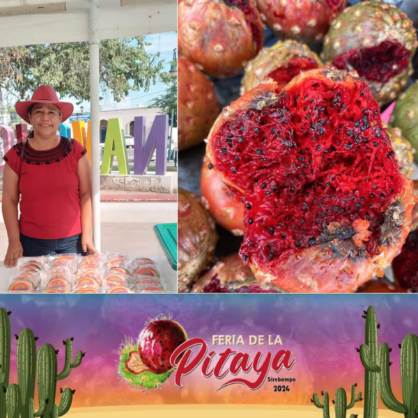 ¡Todo Listo para la Feria de la Pitaya en Navojoa!