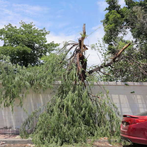 Alerta Protección Civil a municipios del Noreste de Sonora por fuertes vientos