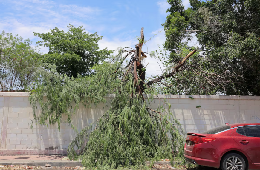 Alerta Protección Civil a municipios del Noreste de Sonora por fuertes vientos