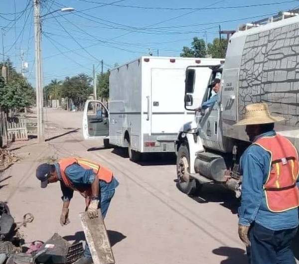 Colonia Guadalupana en ‘foco rojo’ por riesgo de dengue en Navojoa