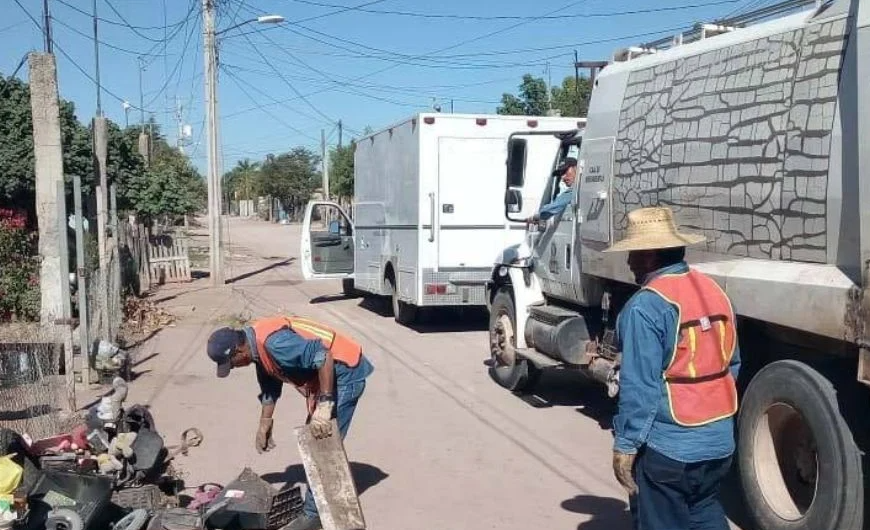 Colonia Guadalupana en ‘foco rojo’ por riesgo de dengue en Navojoa