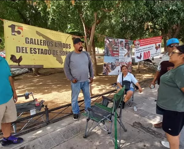 Galleros en Sonora intensificarán protestas contra Ley de Protección y Bienestar Animal