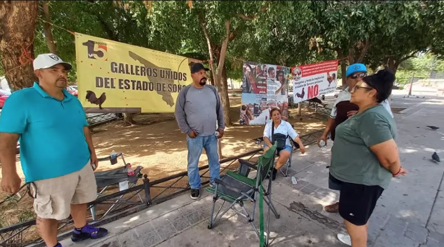 Galleros en Sonora intensificarán protestas contra Ley de Protección y Bienestar Animal