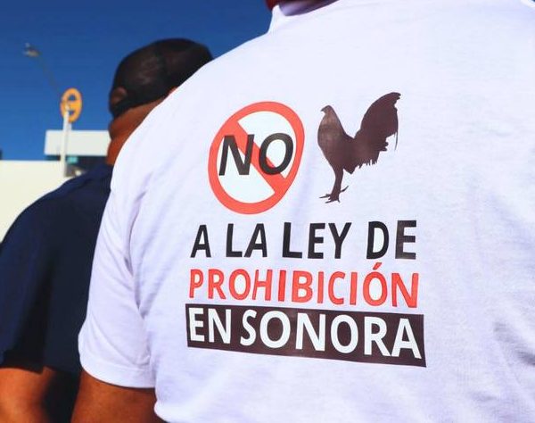 Gobierno del Estado escucha a los galleros de Sonora tras modificación de Ley de Protección Animal