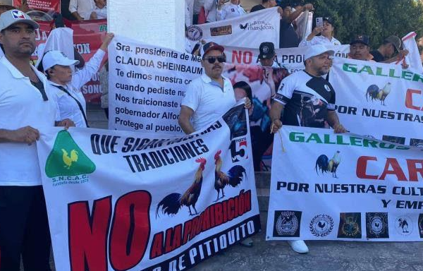 Congreso de Sonora aplaza prohibición de peleas de gallos por tres años