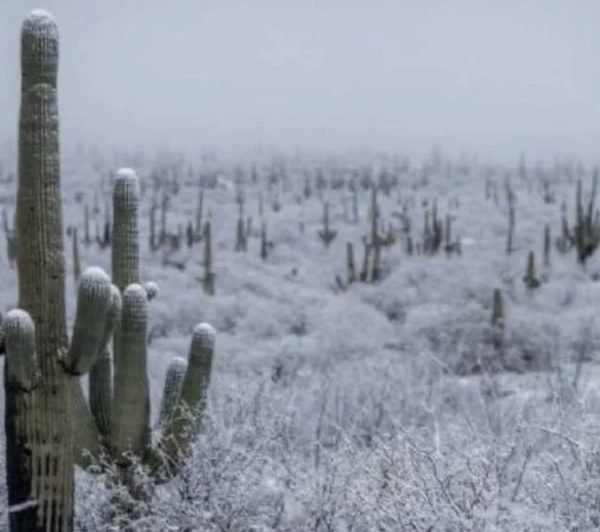 ¡Abrígate! Pronostican lluvias, viento y nieve en Sonora este 4 de noviembre