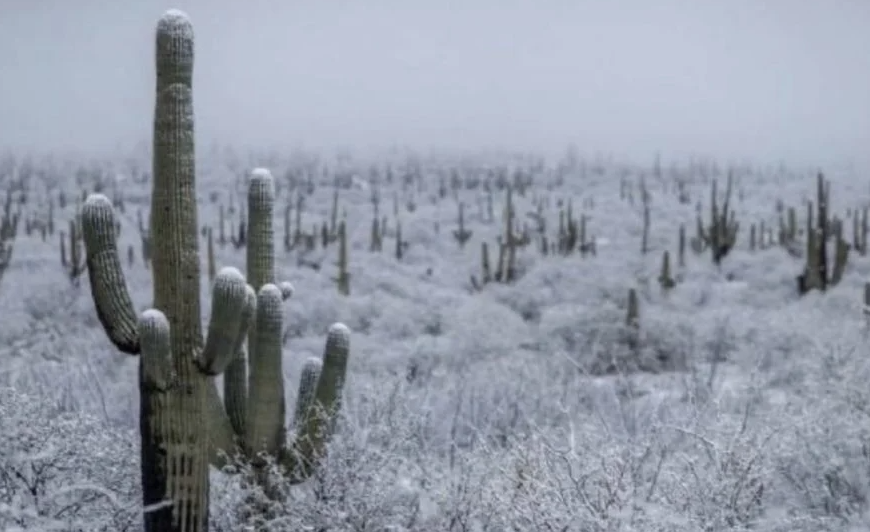 ¡Abrígate! Pronostican lluvias, viento y nieve en Sonora este 4 de noviembre