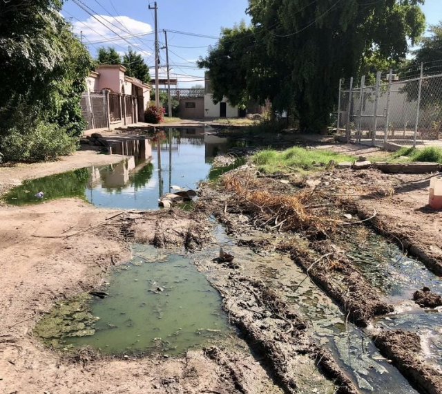 Vecinos de la Colonia Ampliación Beltrones en Navojoa Claman por Solución a Aguas Negras Estancadas