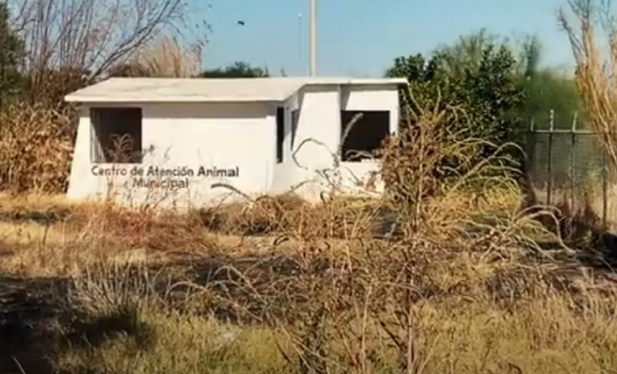 Inversiones fallidas en Navojoa: Ciudadanía exige rescate de inmuebles abandonados