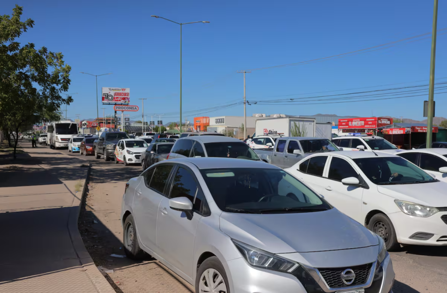 Incrementan atropellamientos en Navojoa durante diciembre