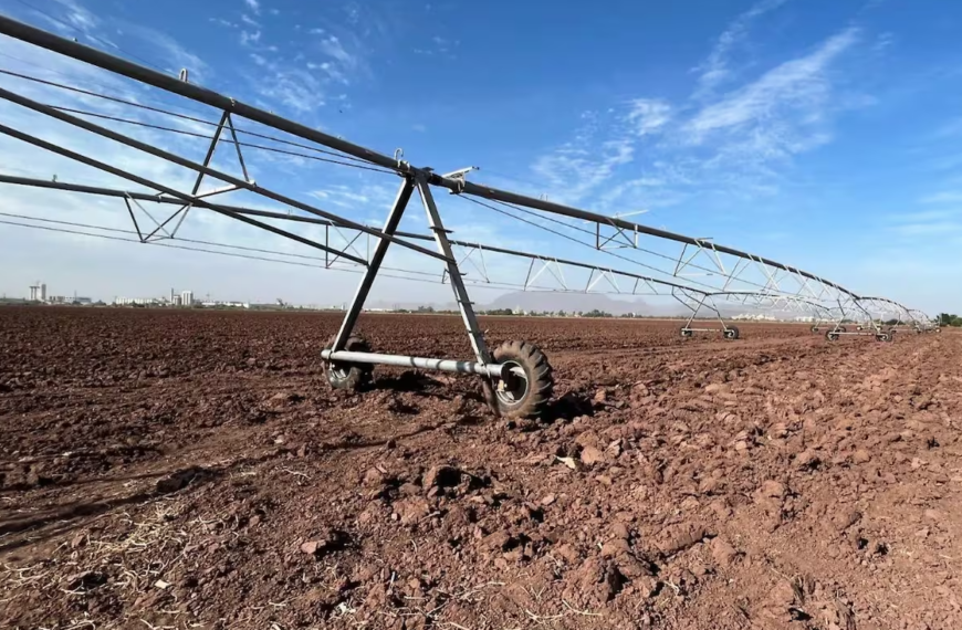 Afectaciones por sequía en el Sur de Sonora superarán proyecciones iniciales, aseguran