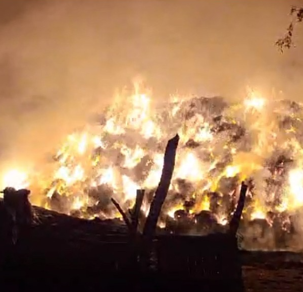 Incendio intencional provoca crisis económica en ganadero de Huatabampo