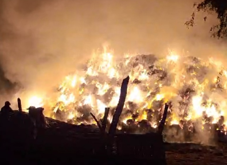 Incendio intencional provoca crisis económica en ganadero de Huatabampo