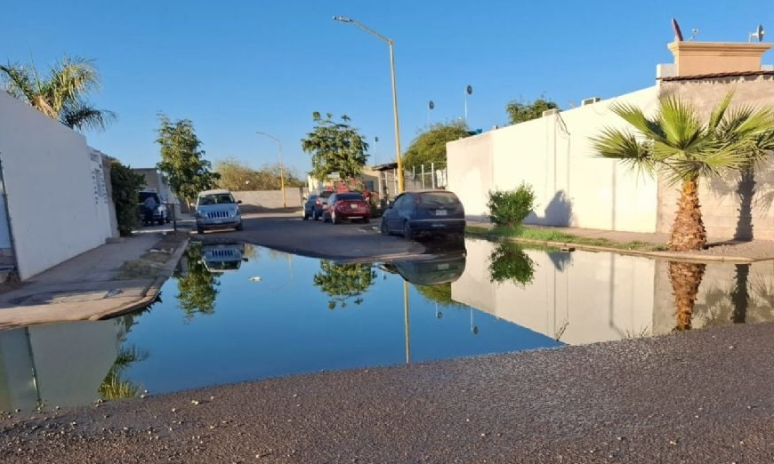 Familias de Finca Real en Navojoa Viven entre Aguas Negras por Colapso de Drenajes