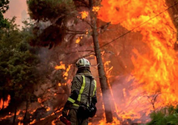 Detienen a sospechoso por incendio que arrasó más de 800 acres en Los Ángeles