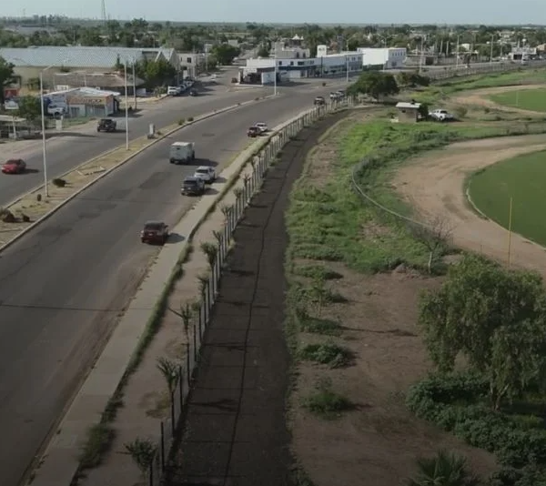 “Acción Verde” busca crear el primer bosque urbano en Navojoa