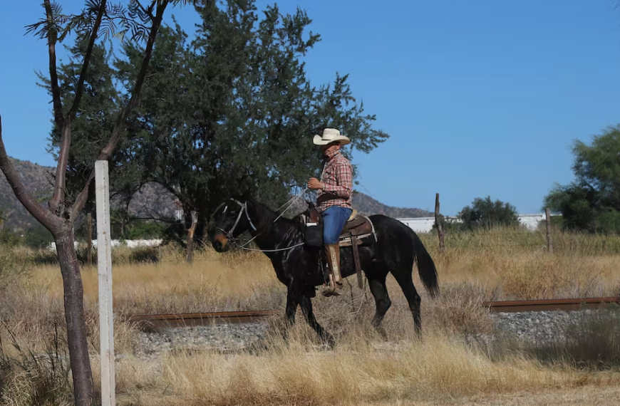 Impulsan carrera técnica de Vaquero en Navojoa: sería la primera en el Sur de Sonora