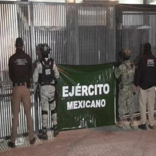 Aseguran tigre de bengala, armas y drogas en cateo en Nogales