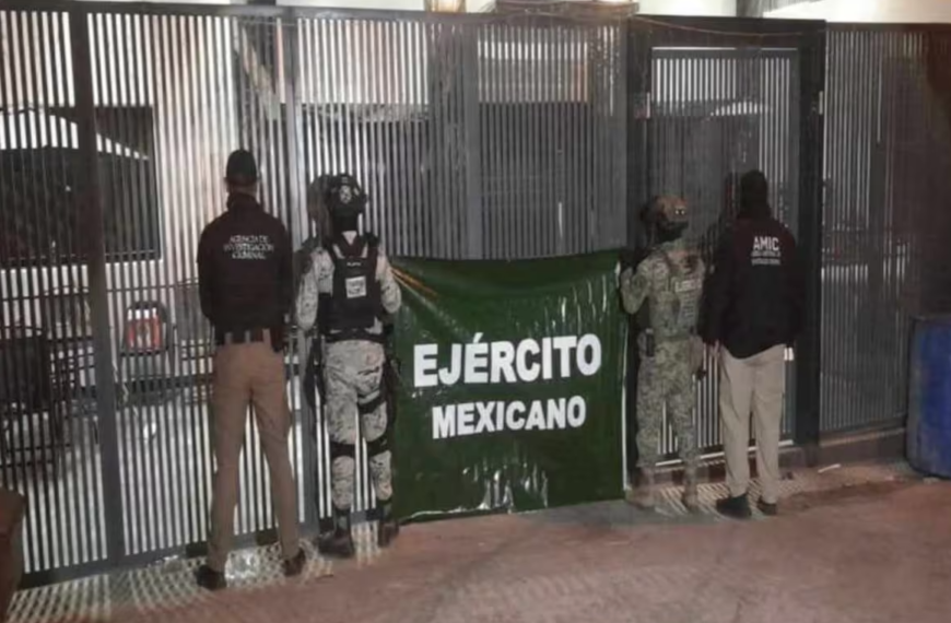 Aseguran tigre de bengala, armas y drogas en cateo en Nogales