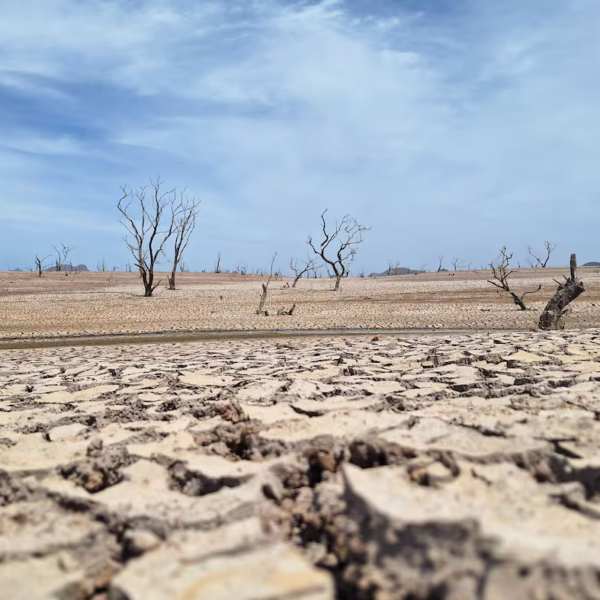 Sonora enfrenta crisis hídrica: 57 municipios en sequía extrema