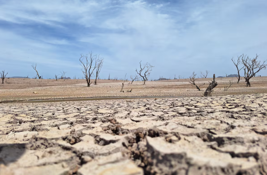 Sonora enfrenta crisis hídrica: 57 municipios en sequía extrema