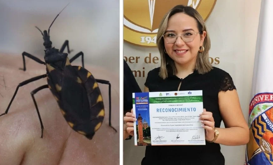 Investigadora navojoense busca mejorar diagnósticos de la enfermedad de Chagas