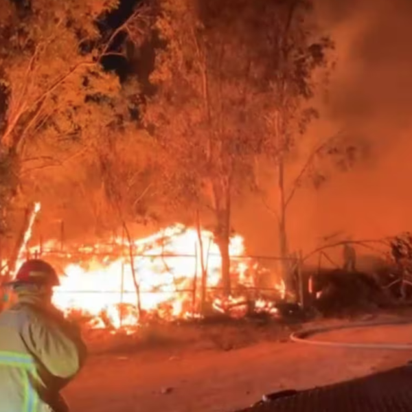 Voraz incendio consume tarimera en Nogales