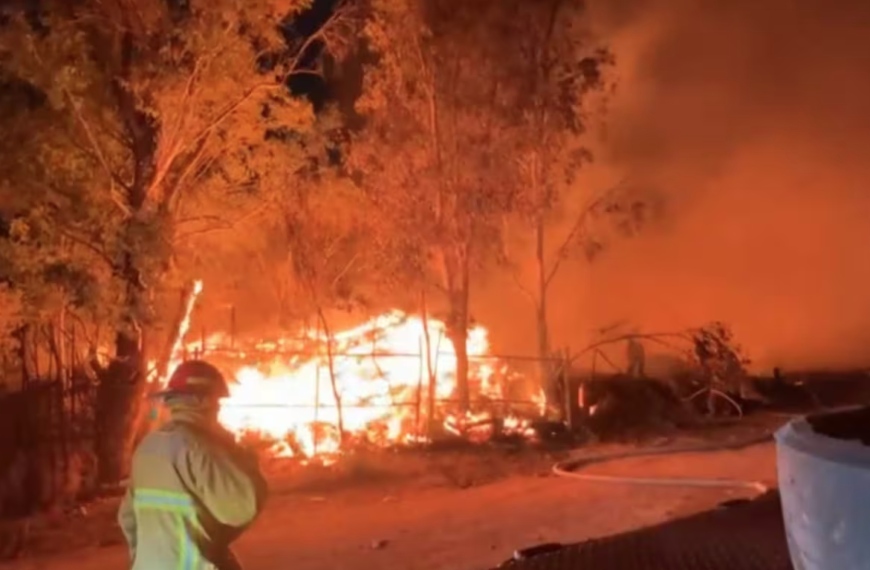Voraz incendio consume tarimera en Nogales