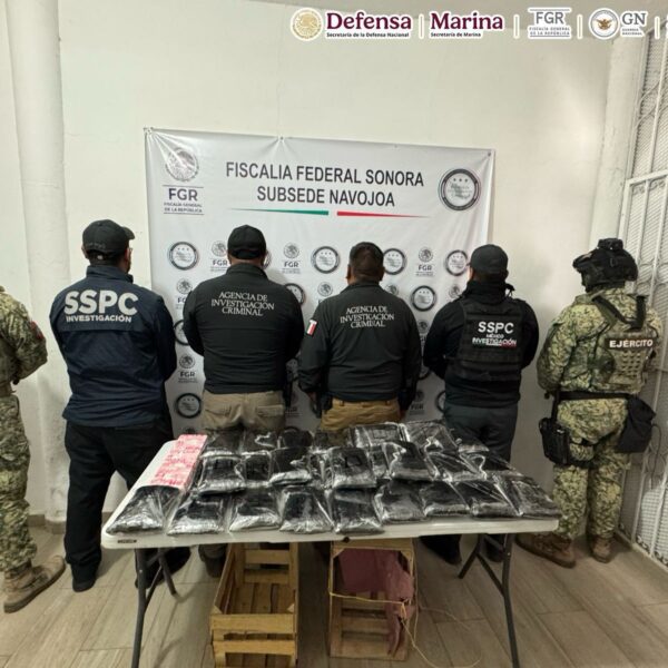 Decomisan 275 mil pastillas de fentanilo ocultas en cargamento de nopales en Sonora