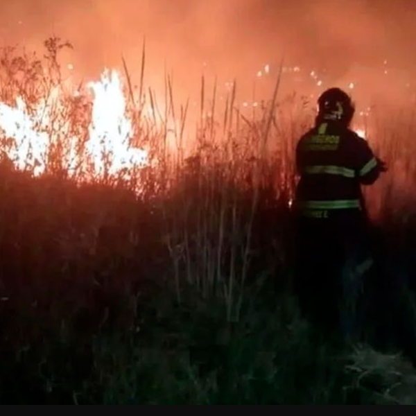 Incendios forestales alcanzan la autopista México-Cuernavaca y dejan un brigadista muerto en Guerrero