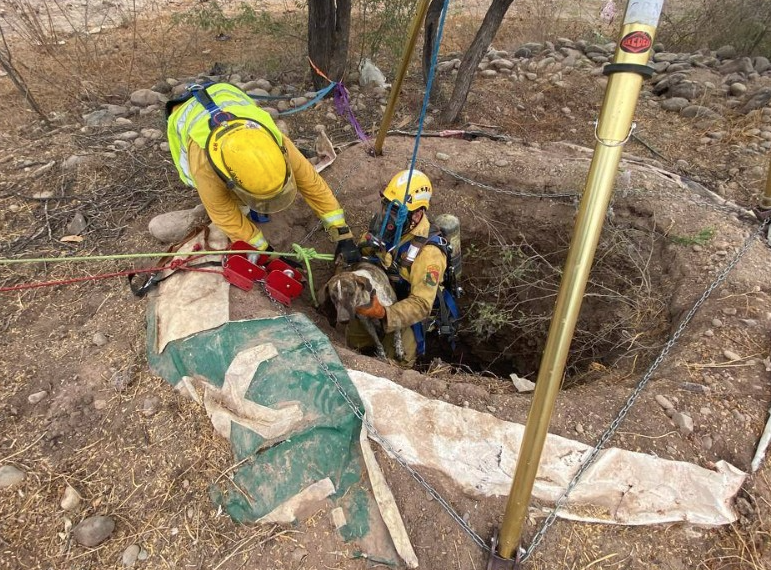 Bomberos de Navojoa rescatan a cinco mascotas atrapadas en un pozo