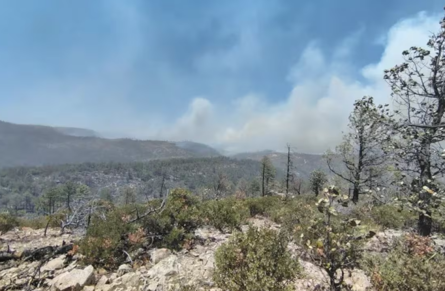 Incendio forestal en Guerrero, Chihuahua moviliza a Sedena y Protección Civil