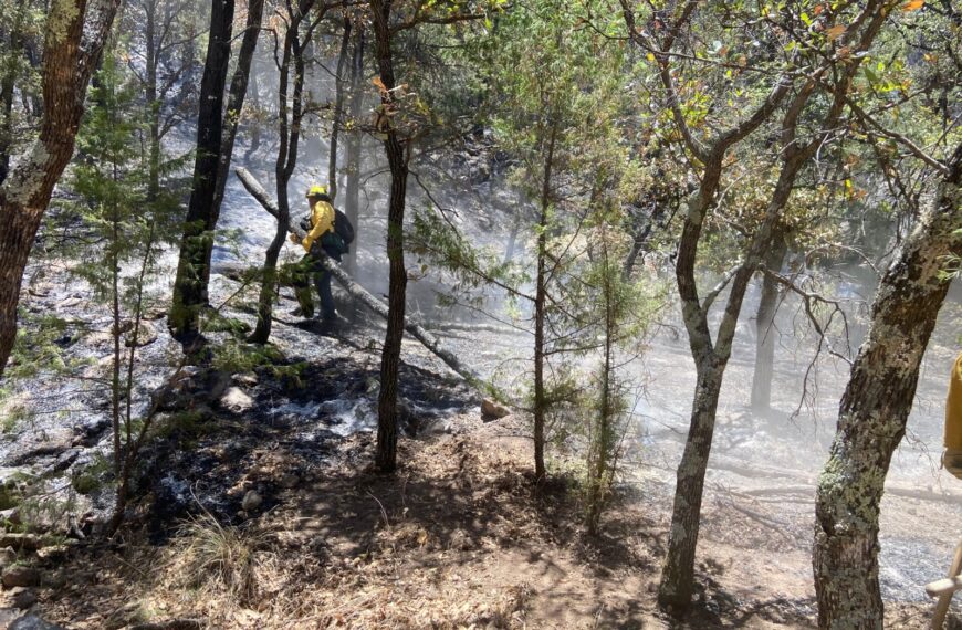 Gobierno de Sonora refuerza combate a incendios forestales con apoyo federal y municipal