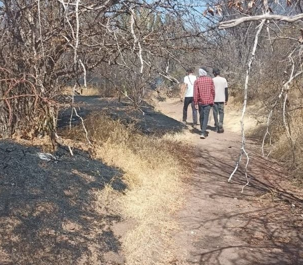 Navojoa registra cinco incendios forestales en lo que va del año