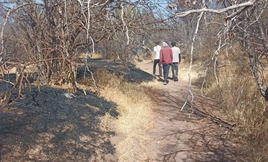 Navojoa registra cinco incendios forestales en lo que va del año