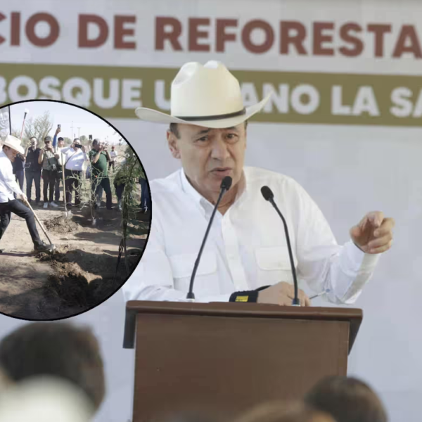 Inician histórica reforestación en La Sauceda: plantarán más de 4 mil árboles nativos