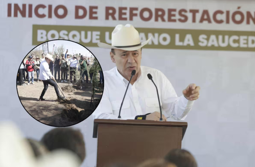 Inician histórica reforestación en La Sauceda: plantarán más de 4 mil árboles nativos