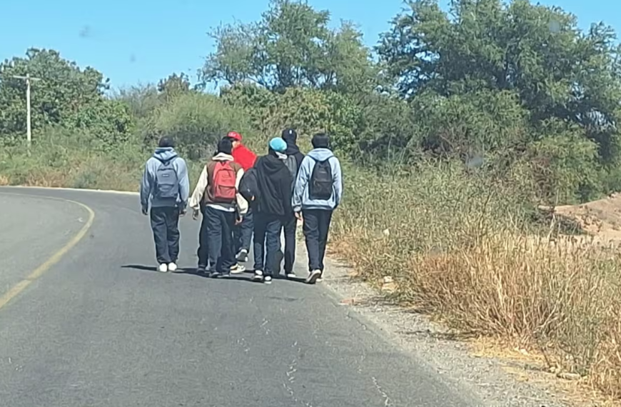 Piden acotamiento en carretera de Rosales, Navojoa, ante riesgo para estudiantes
